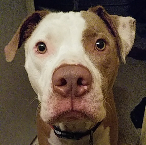 Meet your Seller, Asriona! - Picture 6 of 6